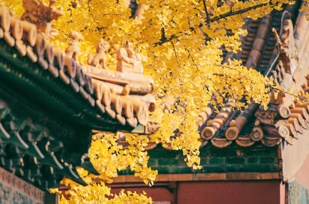 Autumn in China