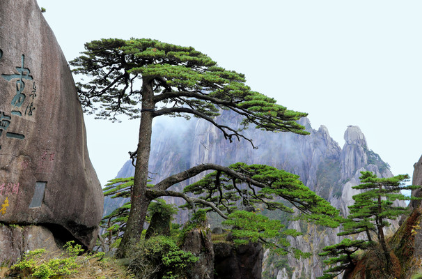 Self-Driving Trip to Wuyuan and Huangshan
