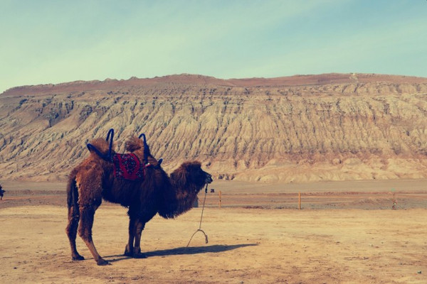 The Lowest Land in China: Turpan’s Sand and Fire!
