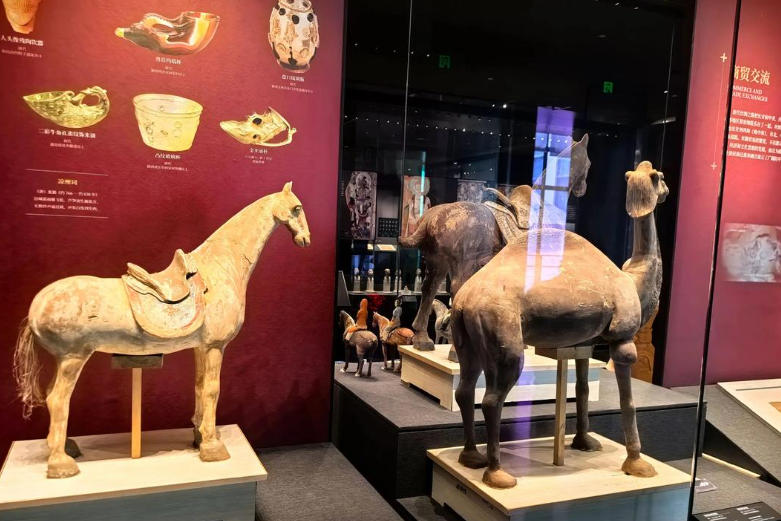 Xinjiang Regional Museum